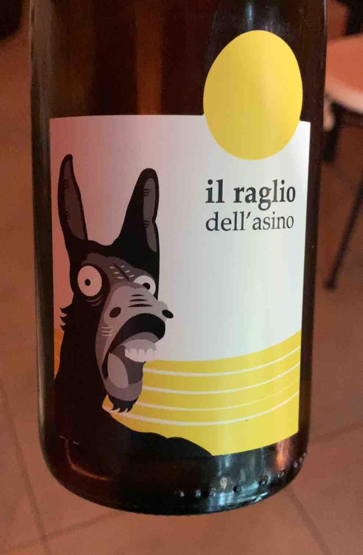 Il Raglio Dell’asino - L'Acino - Dino Briglio Nigro 