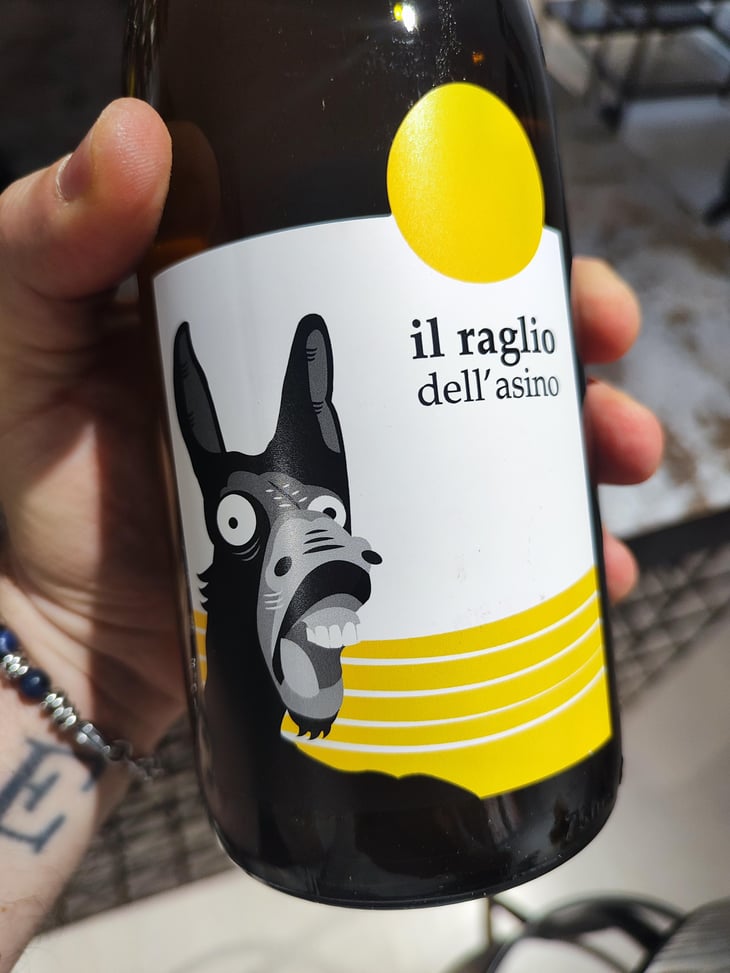 Il Raglio Dell’asino - L'Acino - Dino Briglio Nigro 