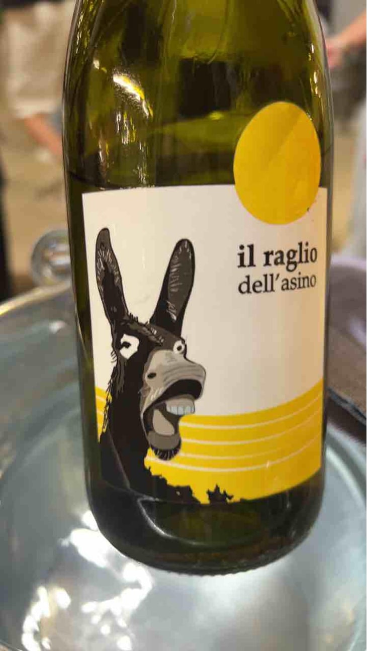 Il Raglio Dell’asino - L'Acino - Dino Briglio Nigro 