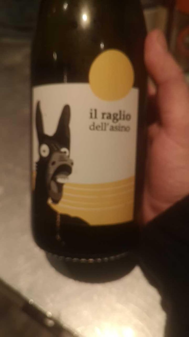 Il Raglio Dell’asino - L'Acino - Dino Briglio Nigro 