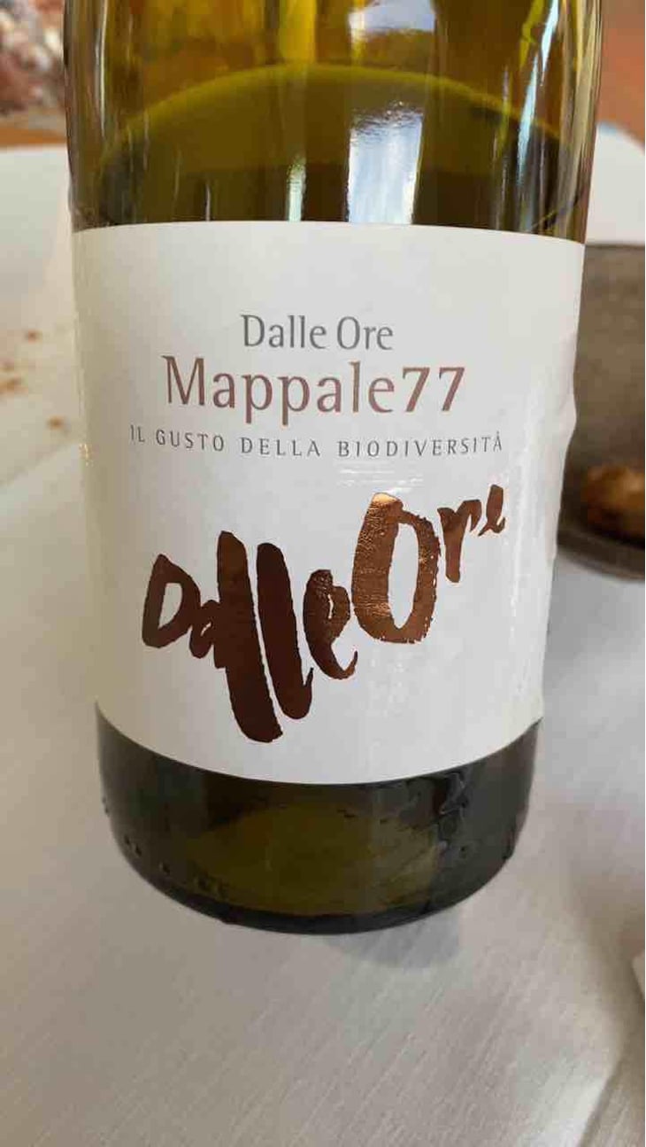 Il Riesling - Tenuta Dalle Ore - Marco Margoni 