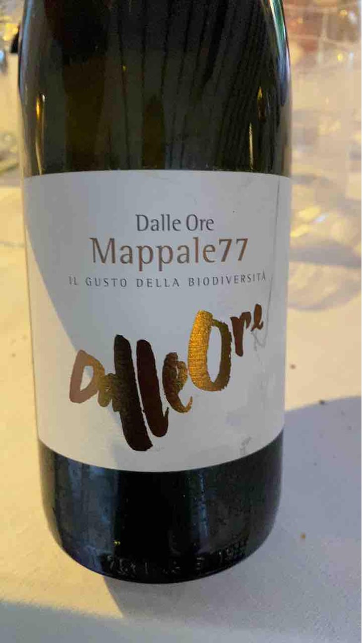 Il Riesling - Tenuta Dalle Ore - Marco Margoni 