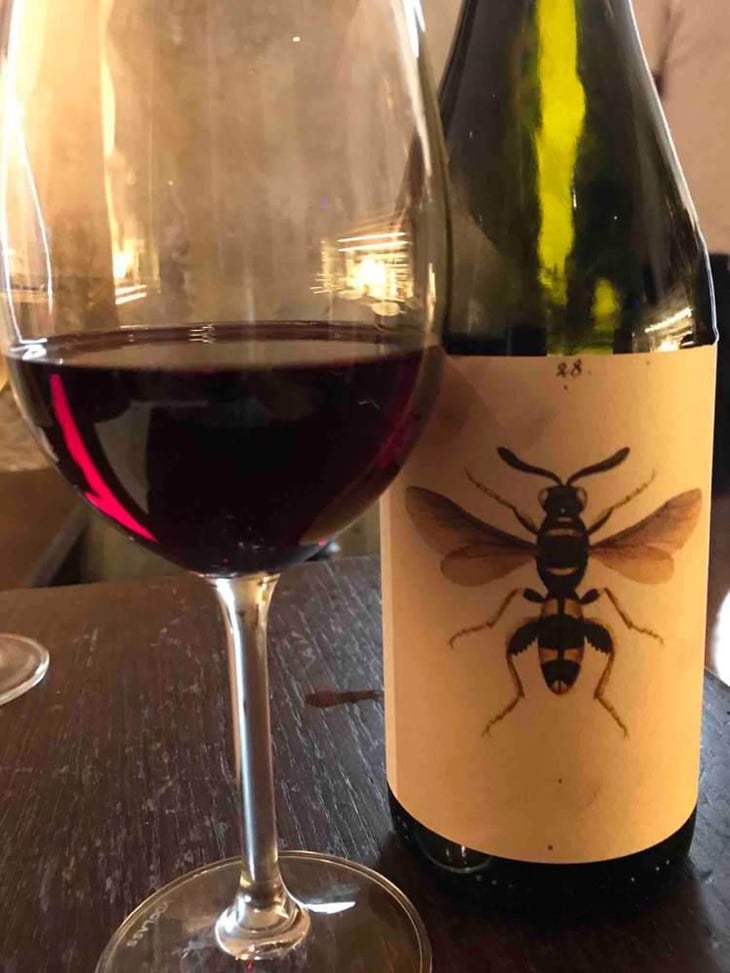 Il Sangiovese - AZIENDA AGRICOLA NOELIA RICCI - Marco Cirese 
