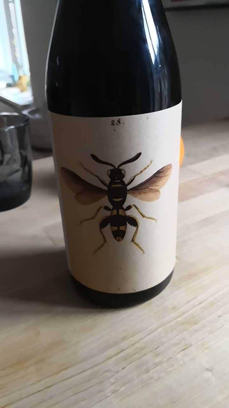Il Sangiovese - AZIENDA AGRICOLA NOELIA RICCI - Marco Cirese 