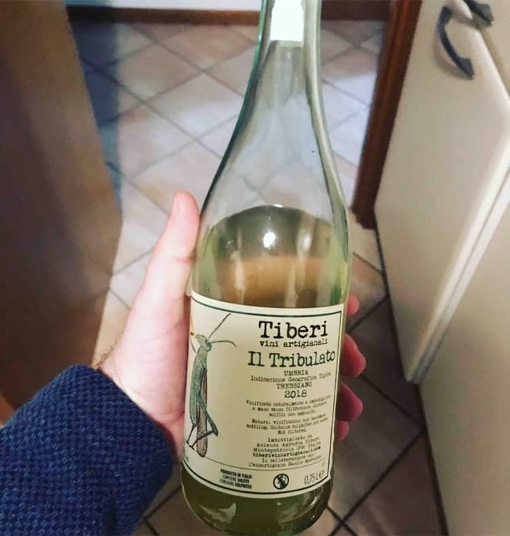 Il Tribulato - Tiberi Vini Artigianali - Cesare, Piero & Federico Tiberi 