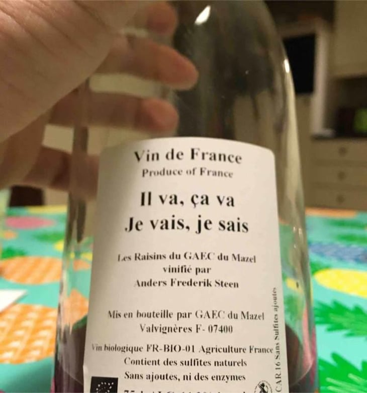 Il va, ca va Je vais, je sais - Anders Frederik Steen & Anne Bruun Blauert - Anders Frederik Steen & Anne Bruun Blauert 