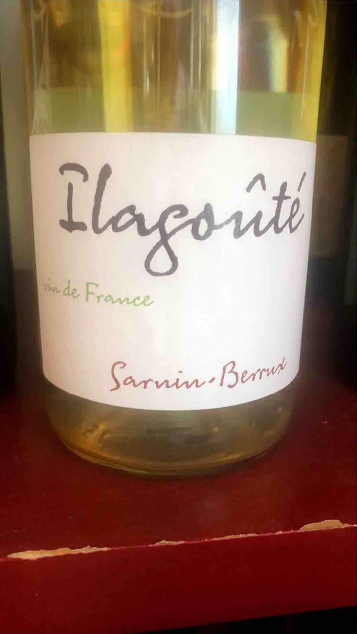 Ilagoûté - Sarnin-Berrux - Jean-Pascal Sarnin & Jean-Marie Berrux 