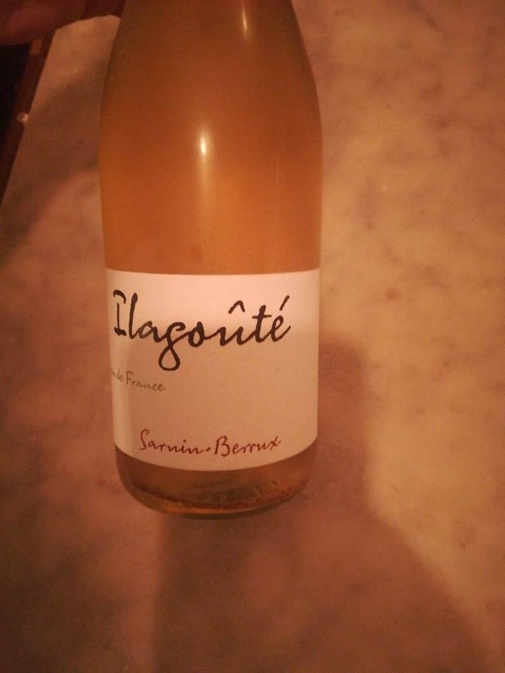 Ilagoûté - Sarnin-Berrux - Jean-Pascal Sarnin & Jean-Marie Berrux 