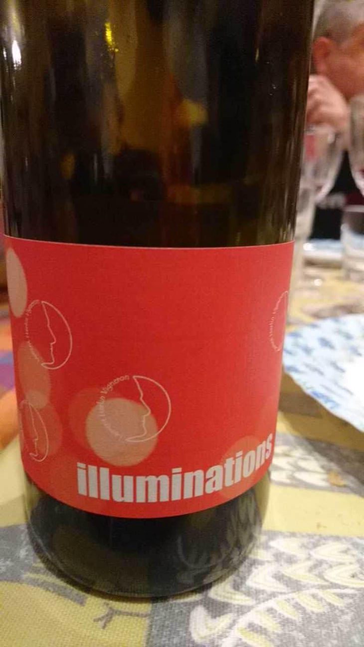 Illuminations - Laurent Herlin Vigneron - Laurent Herlin 