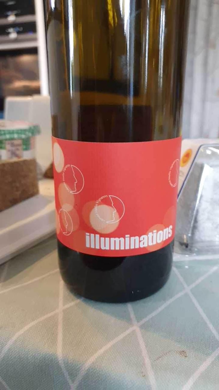 Illuminations - Laurent Herlin Vigneron - Laurent Herlin 