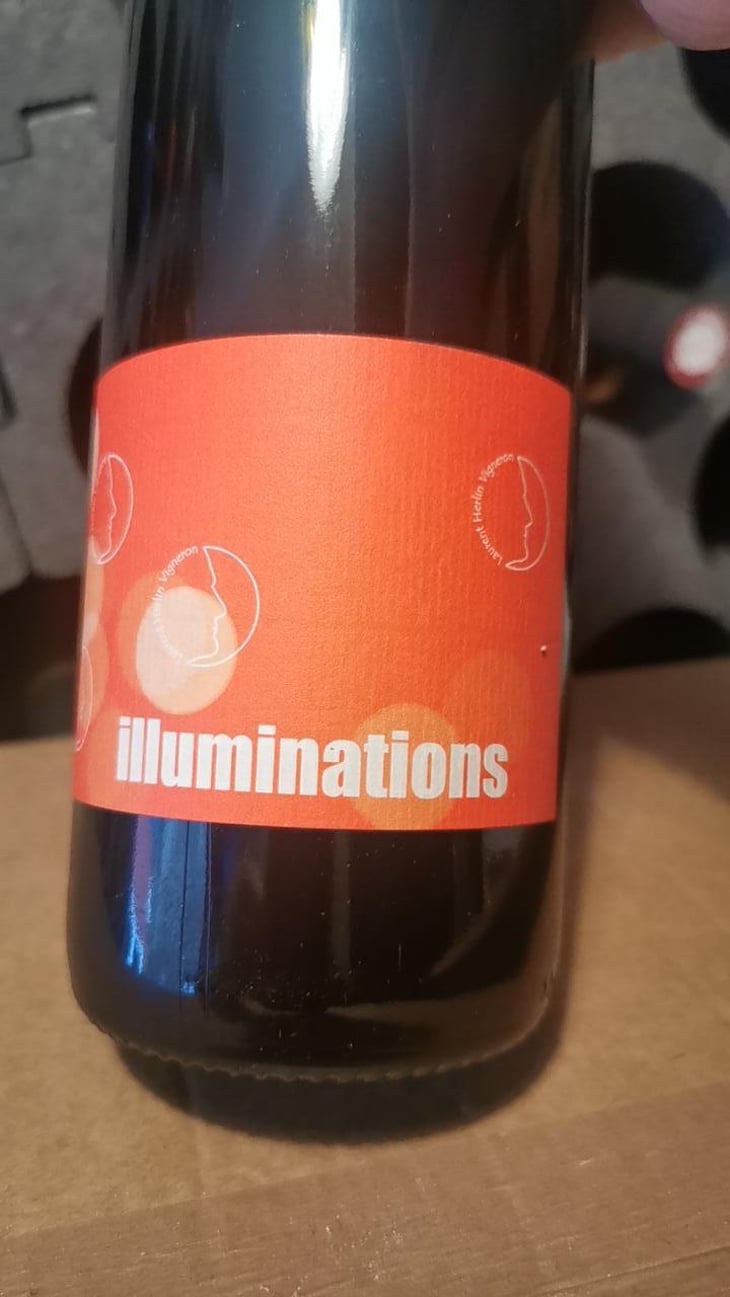 Illuminations - Laurent Herlin Vigneron - Laurent Herlin 