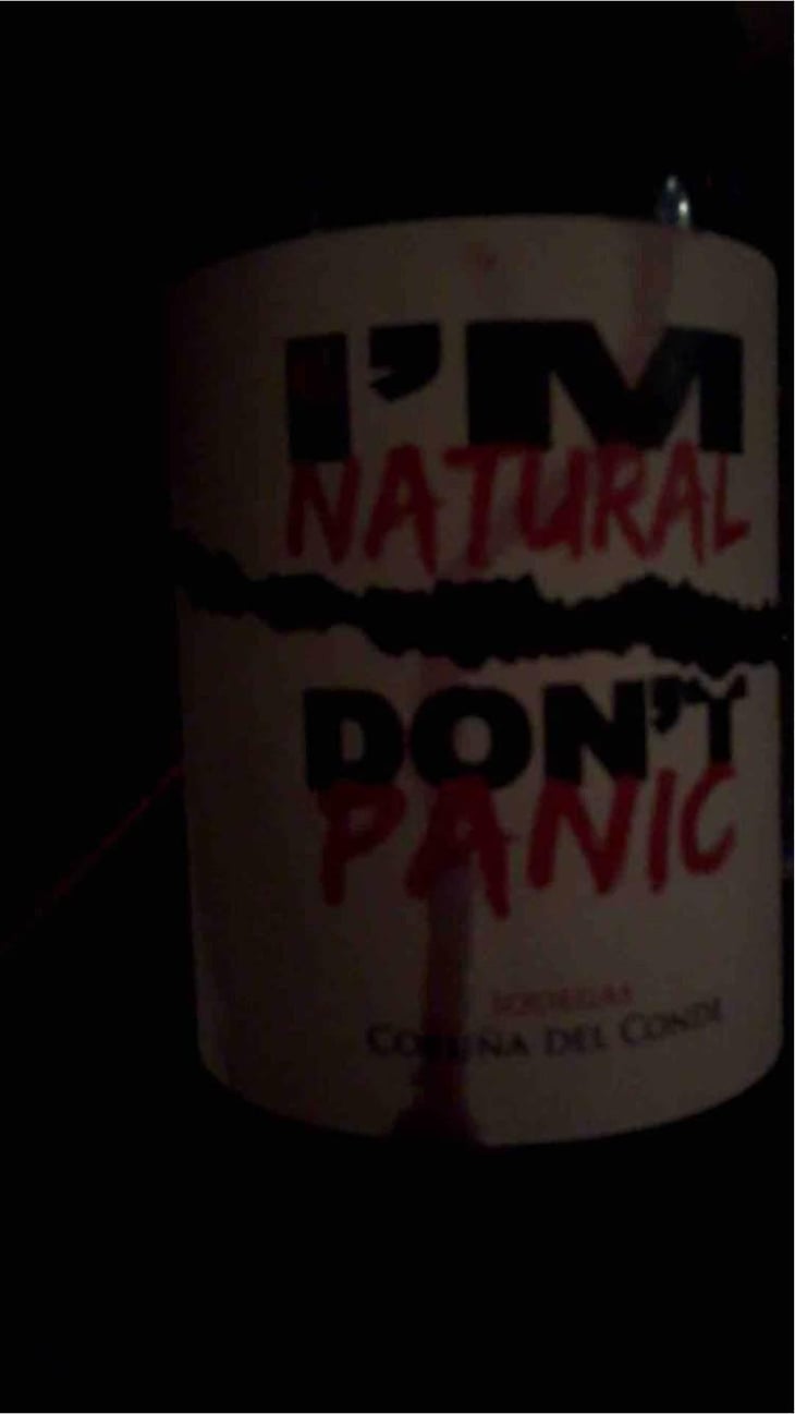 I’M Natural Don’t Panic - Bodegas Coruña del Condé - Angelica Amo Lopez & Julien Ben Hamou Lopez 