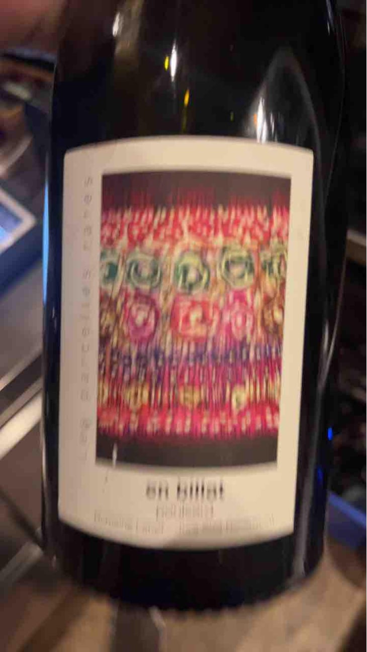 Les Parcelles Rares - En Billat Poulsard - Domaine Labet - Julien, Charline & Romain Labet 