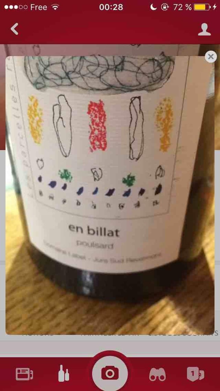 Les Parcelles Rares - En Billat Poulsard - Domaine Labet - Julien, Charline & Romain Labet 
