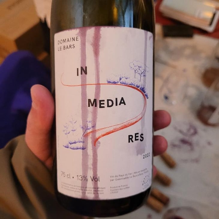 In Media Res - Domaine Le Bars - Gwennaëlle Le Bars -2021
