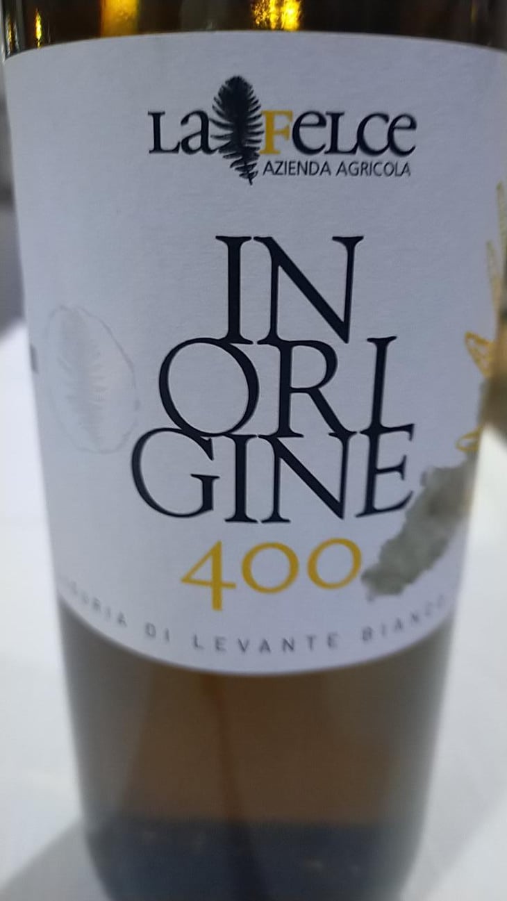 In origine 400 - Le Felce - Andrea Marcesini 