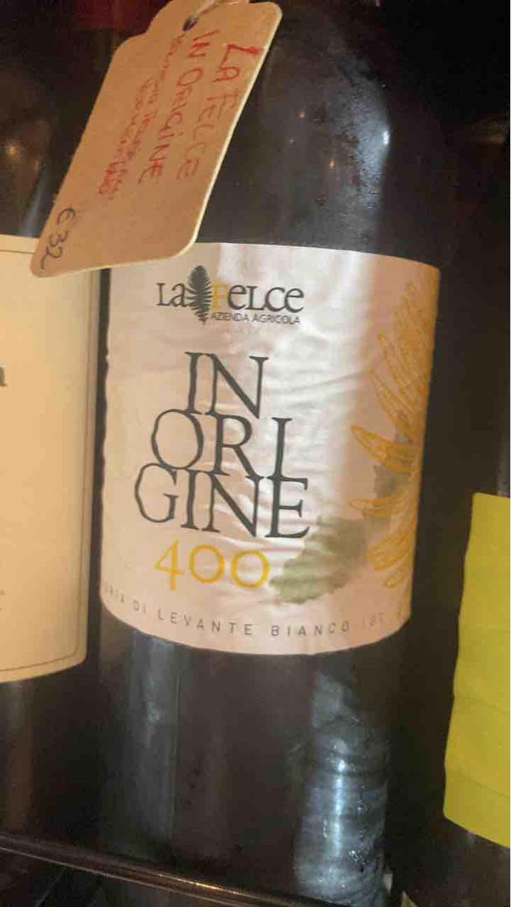 In origine 400 - Le Felce - Andrea Marcesini 