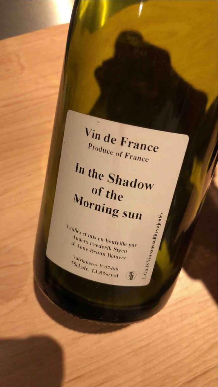In the Shadow of the Morning Sun - Anders Frederik Steen & Anne Bruun Blauert - Anders Frederik Steen & Anne Bruun Blauert 