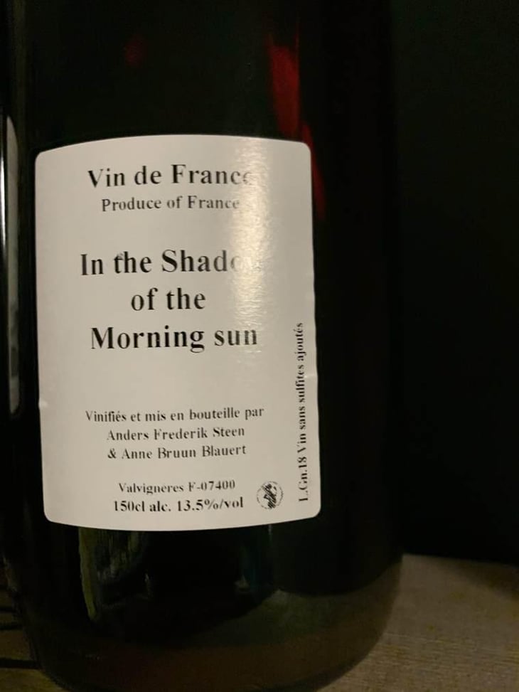 In the Shadow of the Morning Sun - Anders Frederik Steen & Anne Bruun Blauert - Anders Frederik Steen & Anne Bruun Blauert 