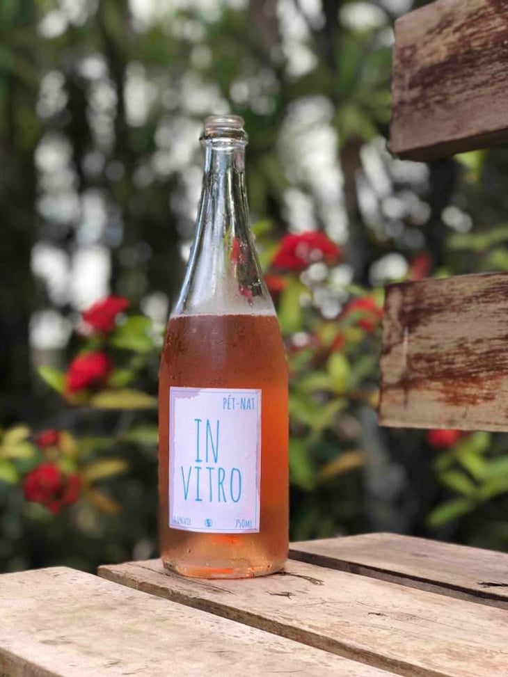 In Vitro - Vinhas do Tempo - Daniel Lopes 