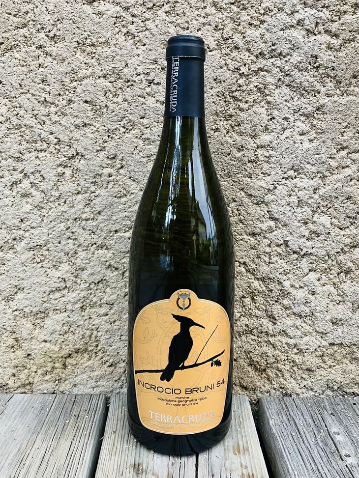 Incrocio Bruni 54 - Cantine Terracruda Azienda vitivinicola Fratterosa - Cantine Terracruda 