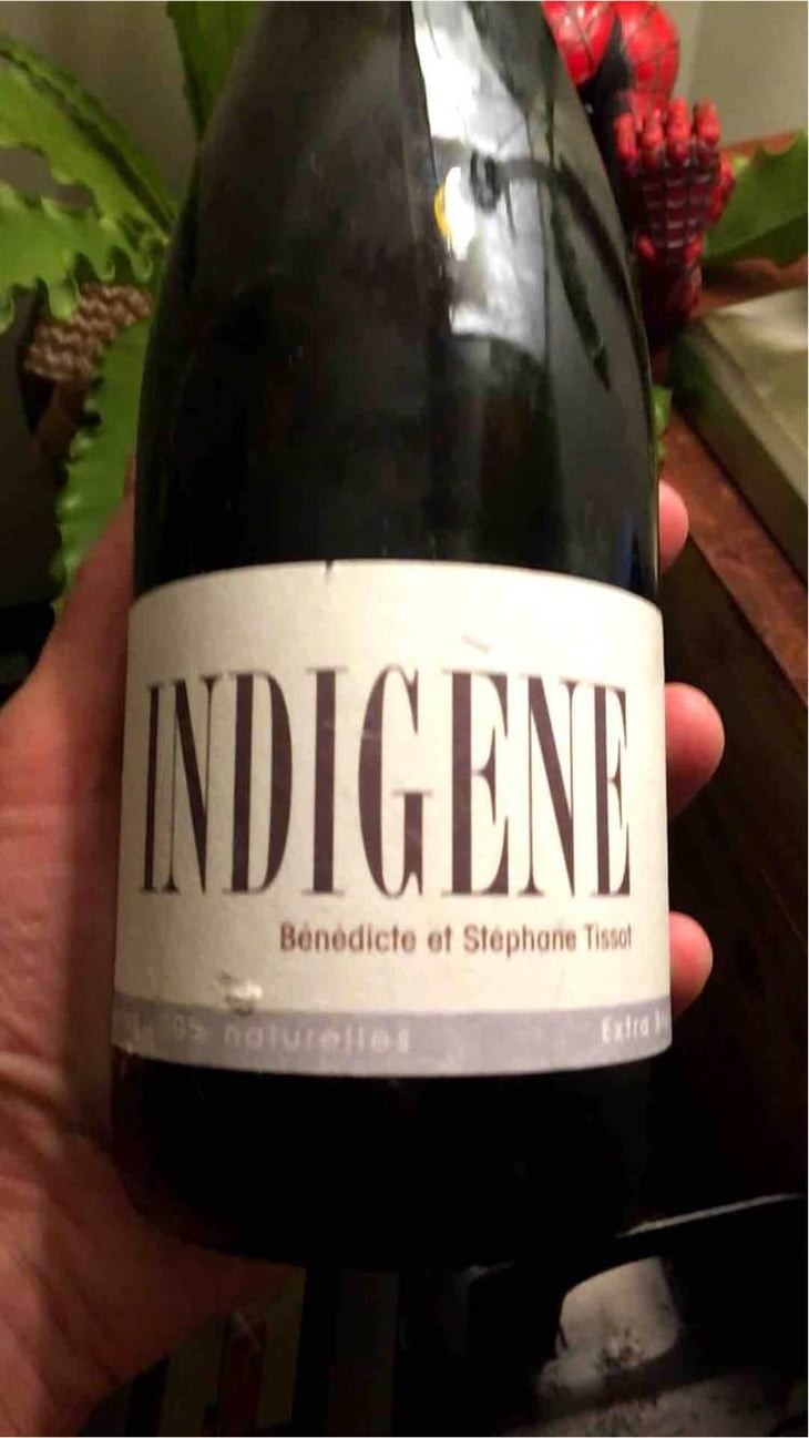 Indigene - Domaine André & Mireille Tissot - Bénédicte & Stéphane Tissot 