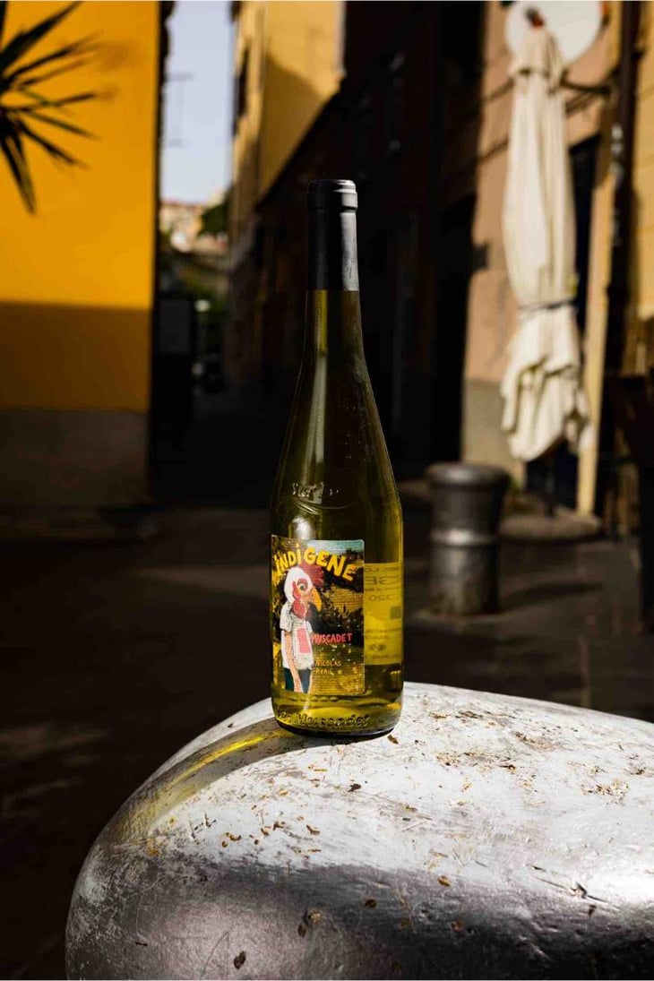 Indigène Muscadet - Le Clos des Treilles - Nicolas Reau 