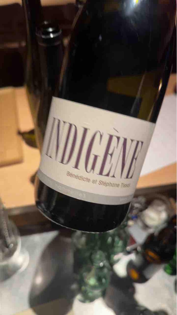 Indigene - Domaine André & Mireille Tissot - Bénédicte & Stéphane Tissot 