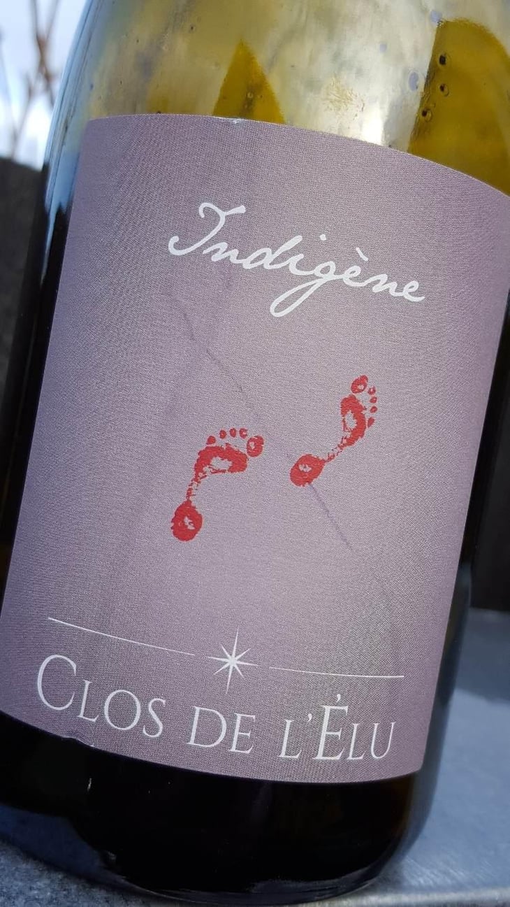 Indigène - Terre de L'Elu - Charlotte et Thomas Carsin 