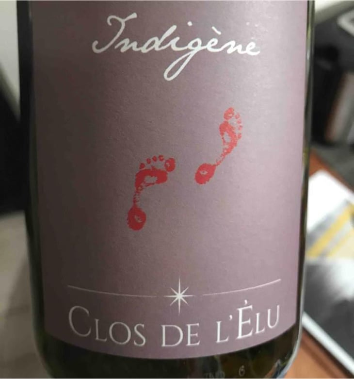 Indigène - Terre de L'Elu - Charlotte et Thomas Carsin 