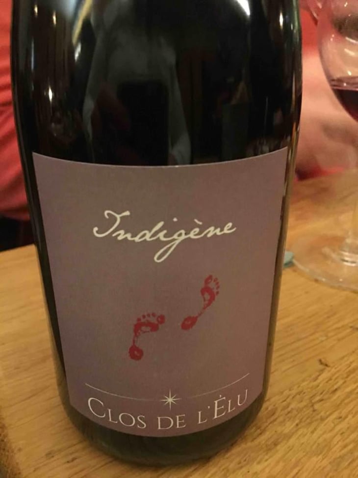 Indigène - Terre de L'Elu - Charlotte et Thomas Carsin 