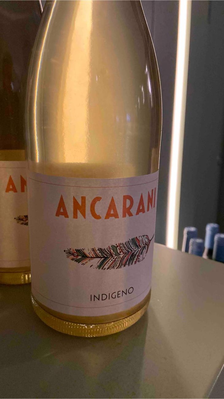 Indigeno - Ancarani - Rita Babini & Claudio Ancarani 