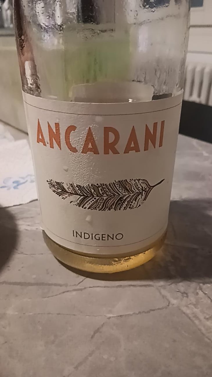 Indigeno - Ancarani - Rita Babini & Claudio Ancarani 