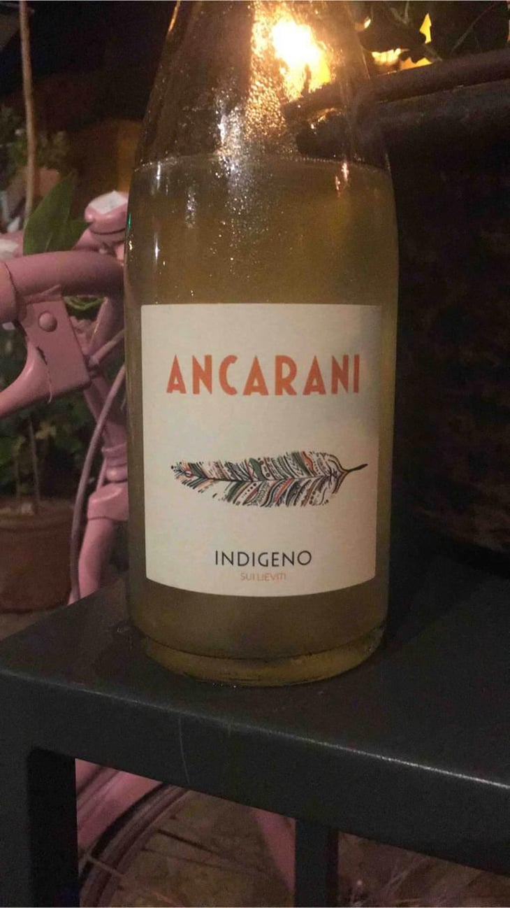 Indigeno - Ancarani - Rita Babini & Claudio Ancarani 