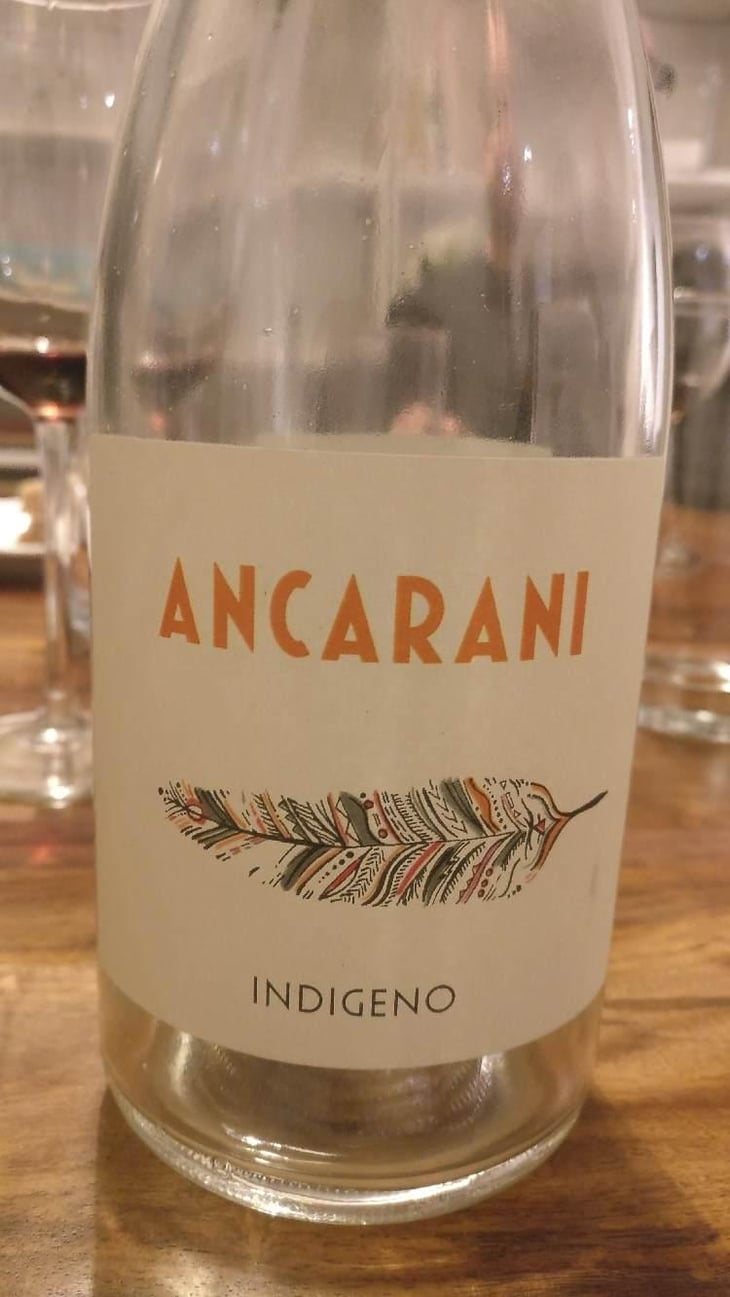 Indigeno - Ancarani - Rita Babini & Claudio Ancarani 