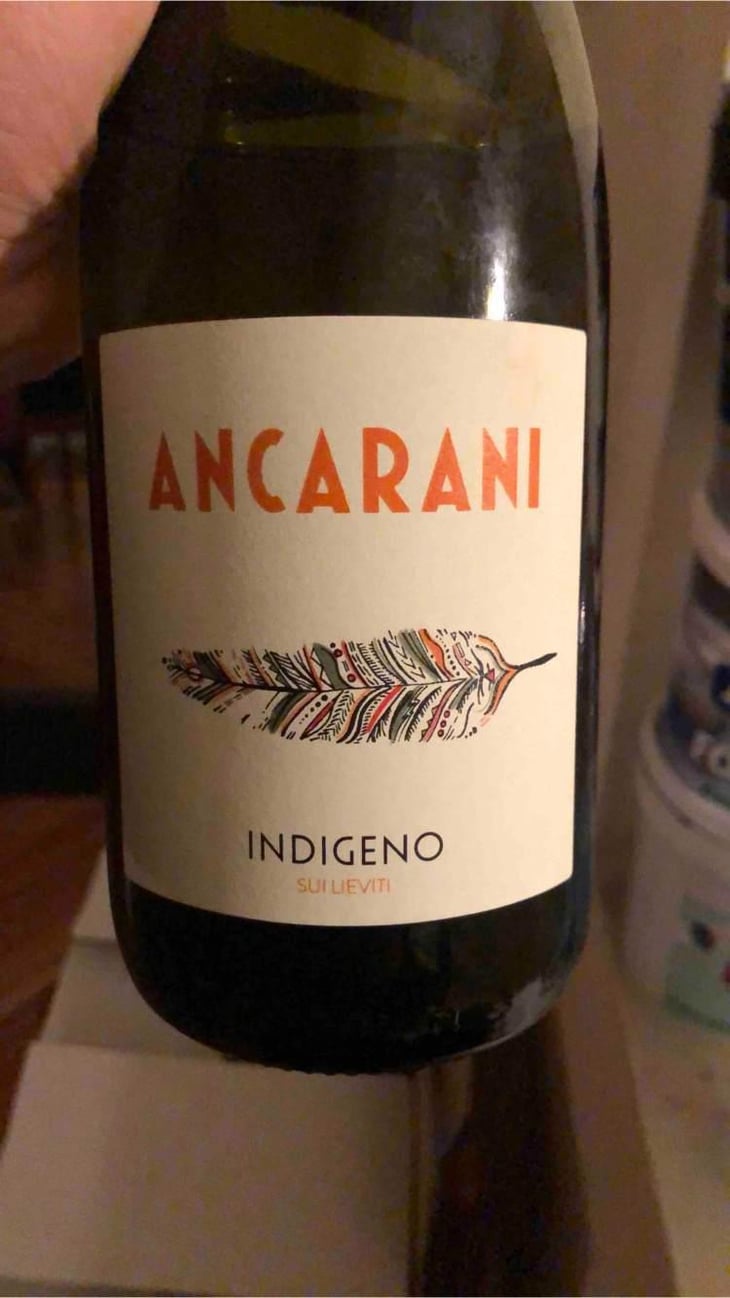 Indigeno - Ancarani - Rita Babini & Claudio Ancarani 