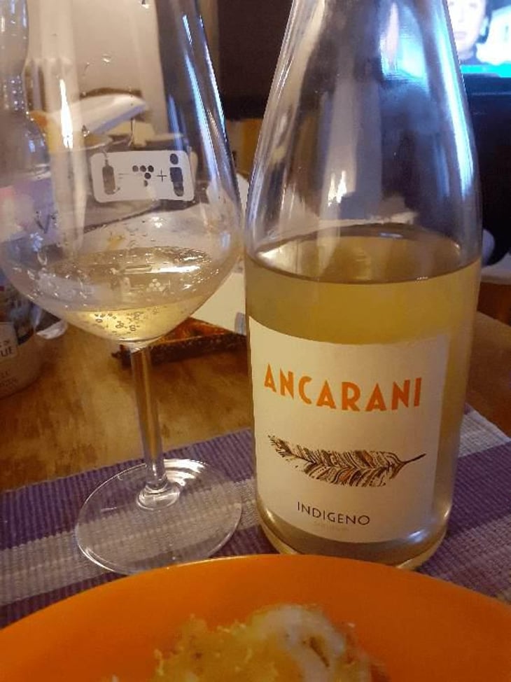 Indigeno - Ancarani - Rita Babini & Claudio Ancarani 