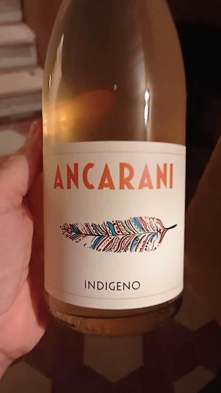 Indigeno - Ancarani - Rita Babini & Claudio Ancarani 
