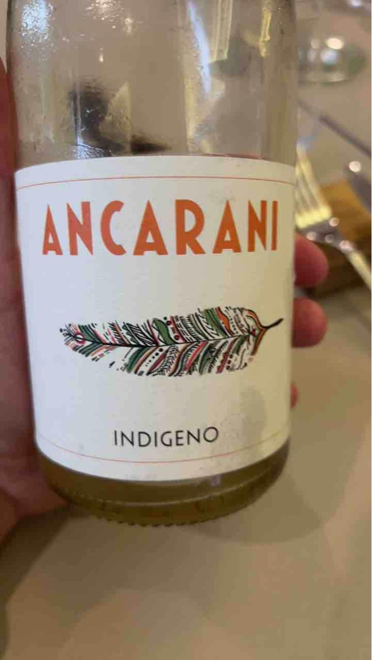Indigeno - Ancarani - Rita Babini & Claudio Ancarani 