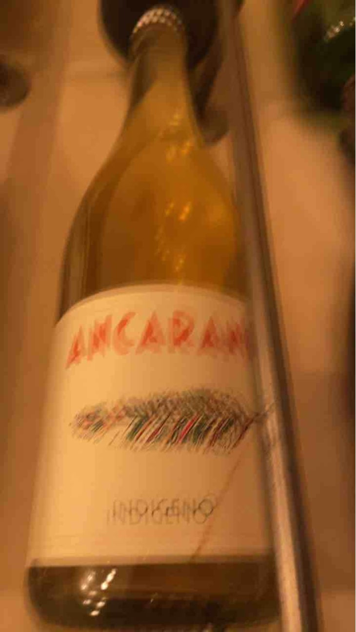 Indigeno - Ancarani - Rita Babini & Claudio Ancarani 