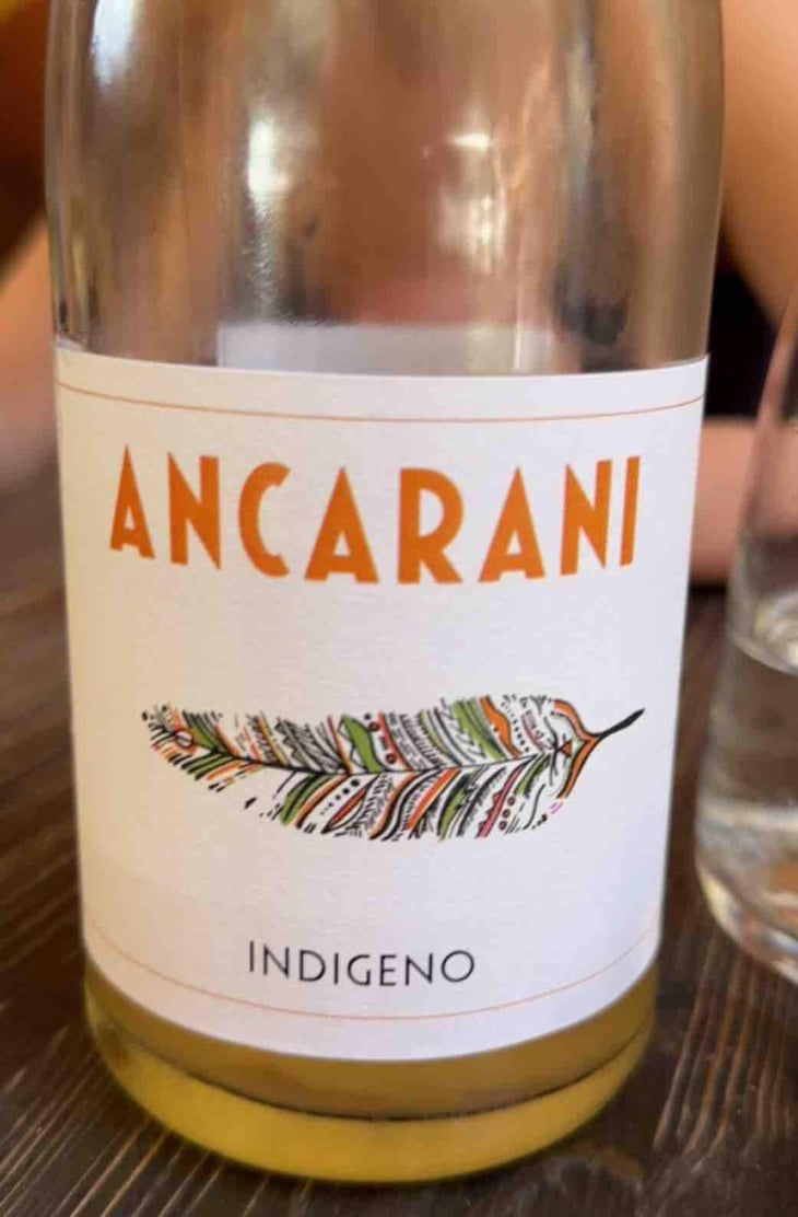 Indigeno - Ancarani - Rita Babini & Claudio Ancarani 