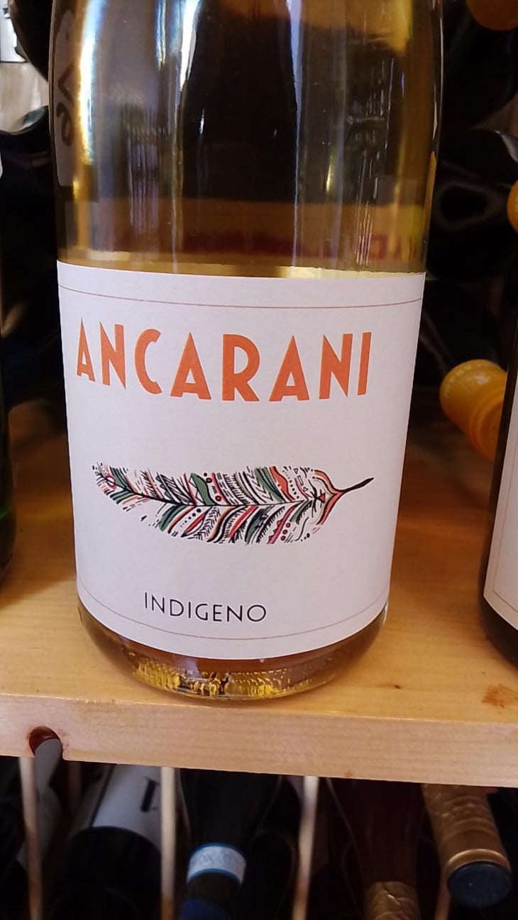 Indigeno - Ancarani - Rita Babini & Claudio Ancarani 
