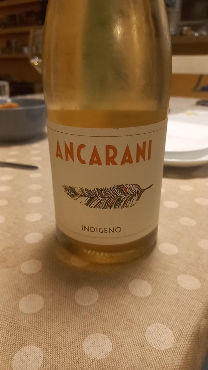 Indigeno - Ancarani - Rita Babini & Claudio Ancarani 