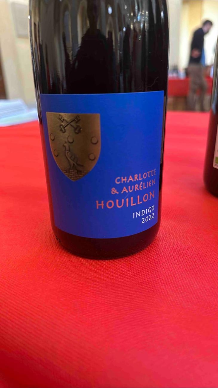 Indigo - Charlotte & Aurélien Houillon - Charlotte & Aurélien Houillon 