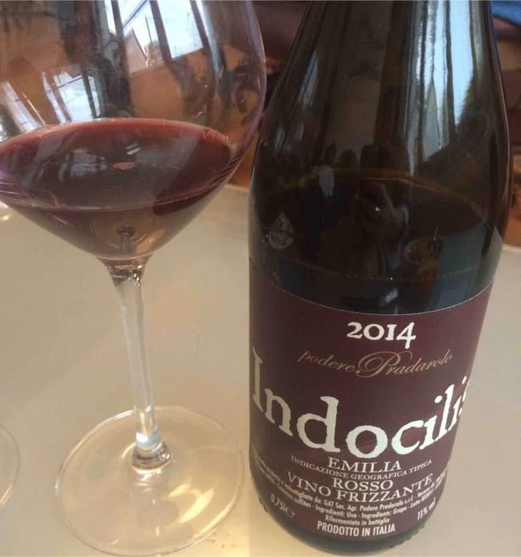 Indocilis - Podere Pradarolo - Alberto Carretti 