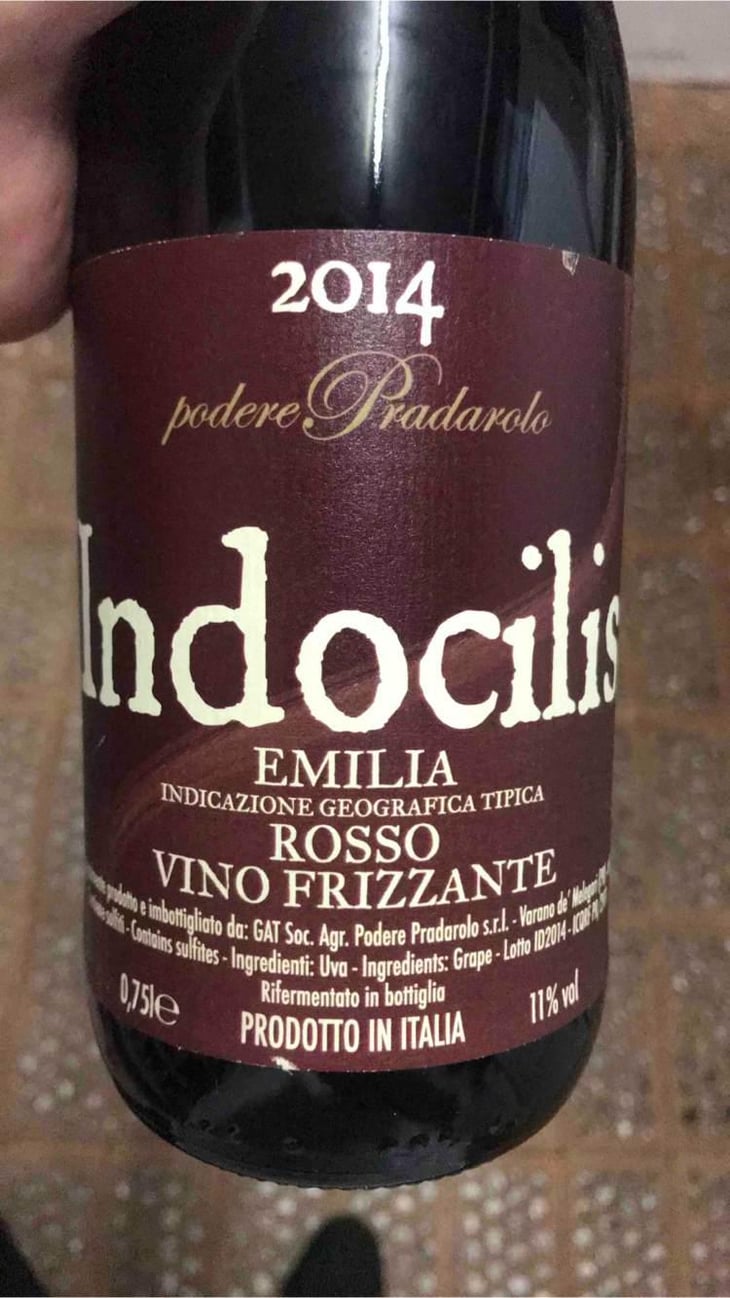 Indocilis - Podere Pradarolo - Alberto Carretti 