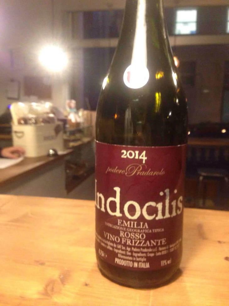 Indocilis - Podere Pradarolo - Alberto Carretti 