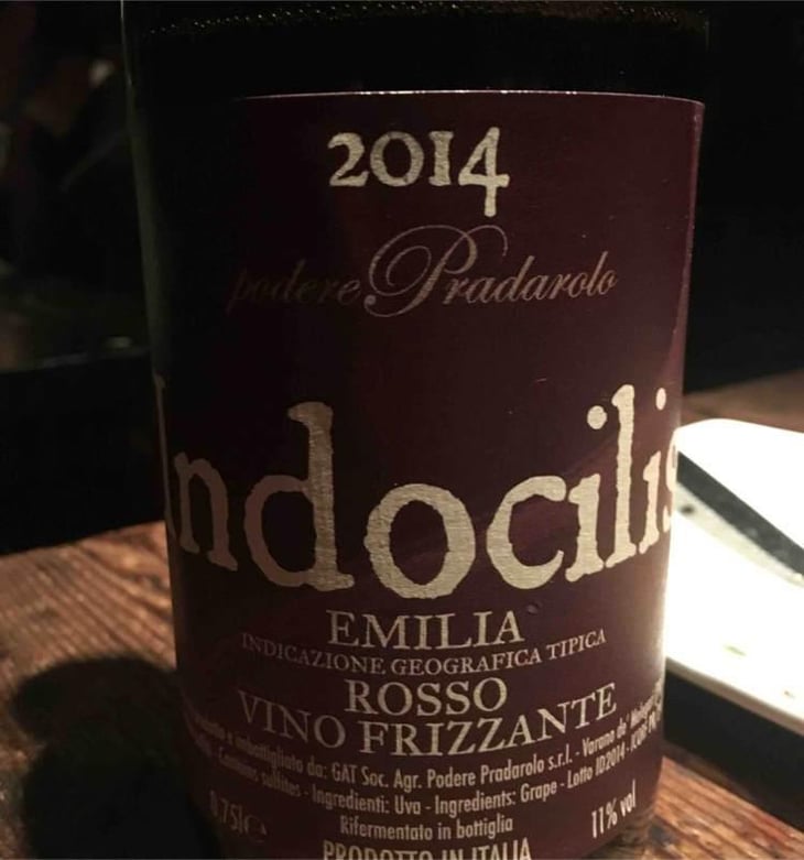 Indocilis - Podere Pradarolo - Alberto Carretti 