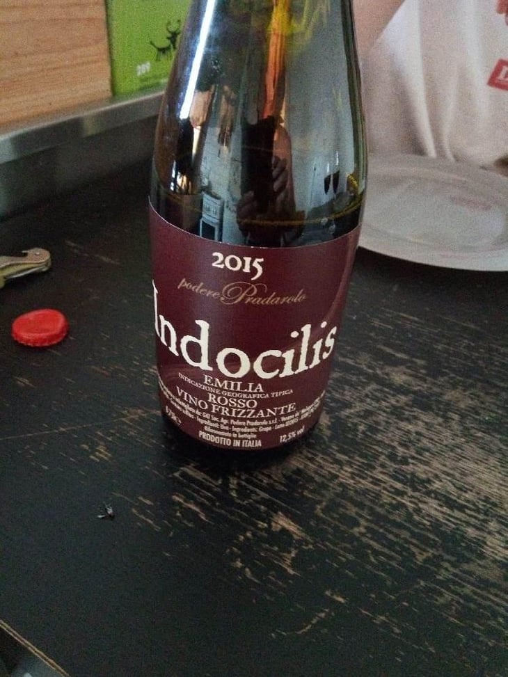 Indocilis - Podere Pradarolo - Alberto Carretti 
