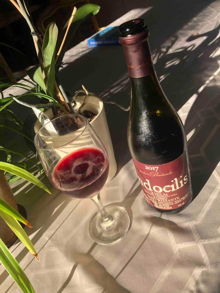 Indocilis - Podere Pradarolo - Alberto Carretti 
